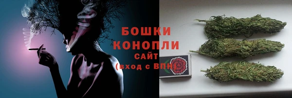 PSILOCYBIN Арсеньев