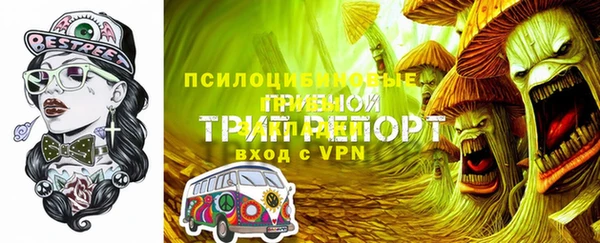 PSILOCYBIN Арсеньев