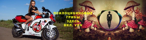 мяу мяу мука Армянск