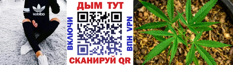 Купить  Архангельск  Конопля Amnesia 